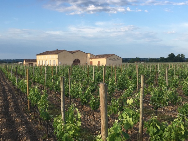 La propriété de Saint-Emilion